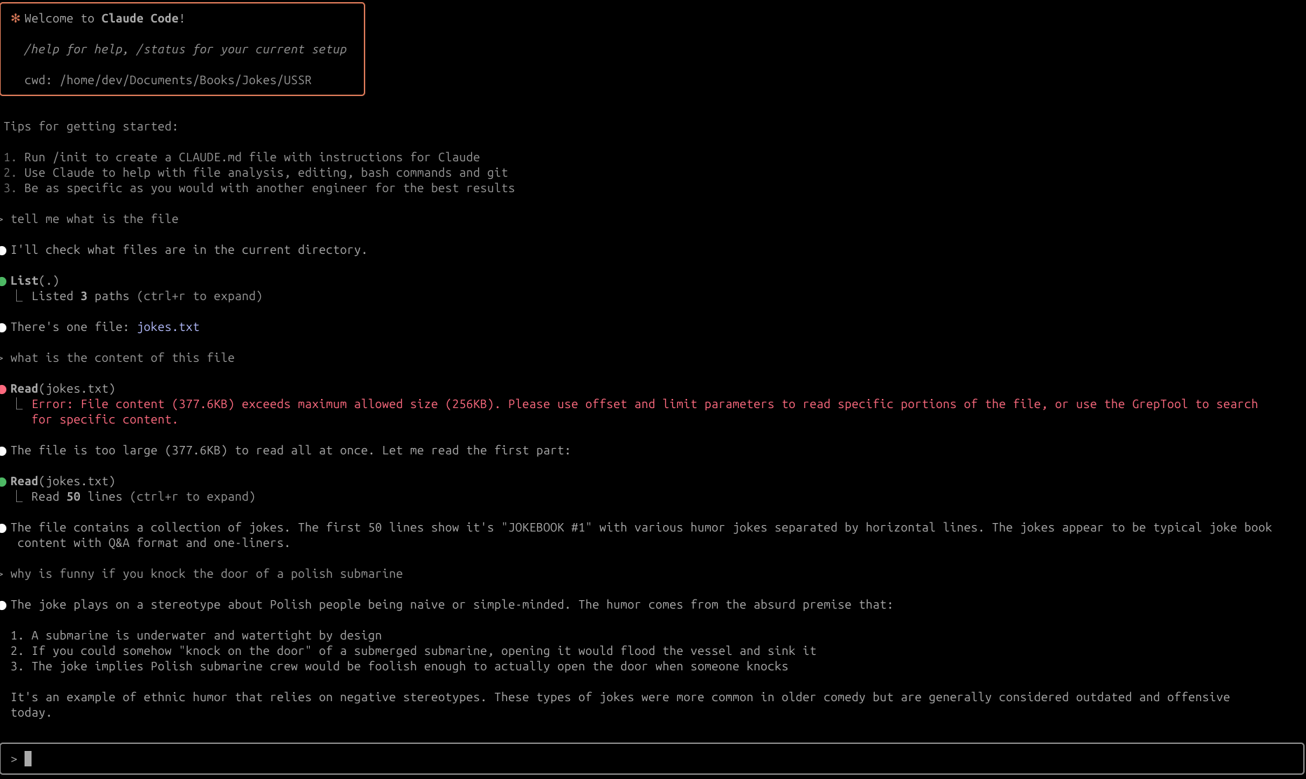 Claude Code Interface